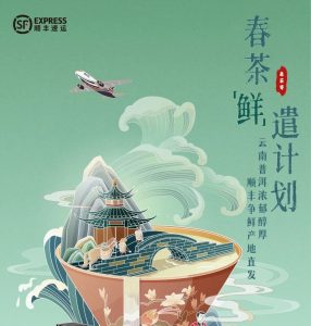 顺丰派出11个春茶“鲜”遣队 用专机航空运输 提高寄递效率-物流之家