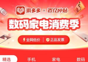 拼多多百亿补贴上线“数码家电消费季”-物流之家