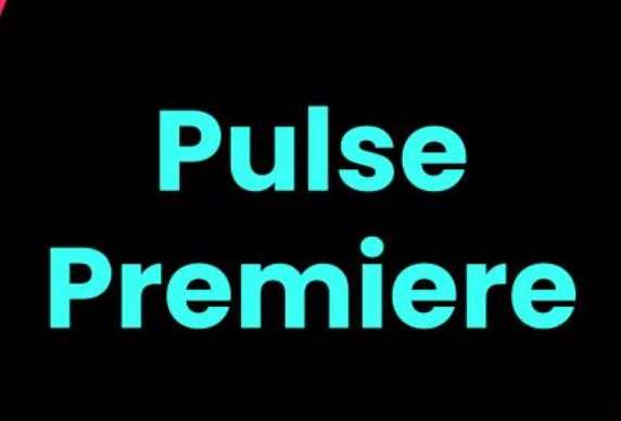 TikTok推出新广告产品“Pulse Premiere”  是TikTok Pulse项目的进化版-物流之家