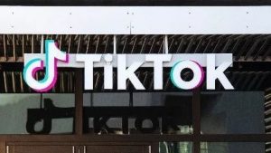 TikTok在东南亚投资数十亿美元 用于培训、广告和支持小型供应商-物流之家
