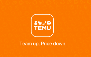 Temu将于6月22日上线日本站点 大量采购日本空运运力-物流之家