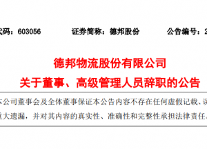 余睿辞任德邦物流董事长 不在公司担任任何职务-物流之家