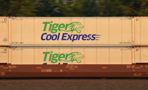国际知名物流企业Tiger Cool Express停运-物流之家