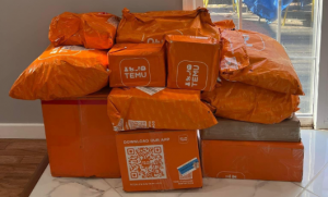 Temu在美国口碑下滑 但销售额比Shein高出20%-物流之家