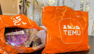 Temu开始实行最低价模式 外加质检新政 卖家苦不堪言-物流之家