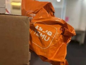 Temu在海外投入不断加大 在美国东部和西部各建一个仓库-物流之家