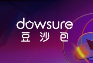 Dowsure豆沙包科技与Choco Up达成合作 助力跨境电商卖家资金压力-物流之家