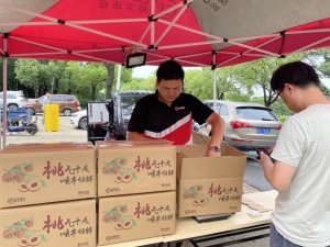 顺丰开通个人寄递水蜜桃香港直达业务 预计耗时三天-物流之家