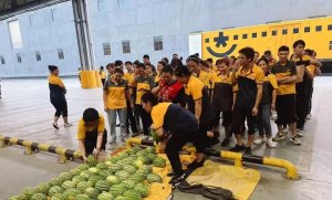 韵达各网点开展“韵达成立24周年 关爱员工送清凉”活动-物流之家