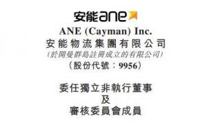 沙莎被委任 安能物流独立非执行董事及董事会审核委员会成员-物流之家