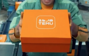 Temu计划开放中东站点-物流之家