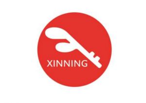 新宁物流发布2023年半年度报告 营收2.05亿元 营业利润-3062万元-物流之家