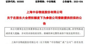 中谷物流发行限售股 共1,457,102,081股-物流之家