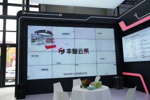 “顺丰塑料包装废弃物全流程闭环回收再生项目”获物流ESG实践创新案例奖-物流之家