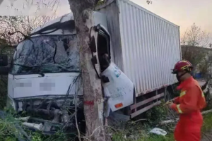 保险拒赔！司机未拉手刹被自车撞死-物流之家