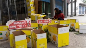 极兔重庆奉节网点日均发出万单脐橙-物流之家