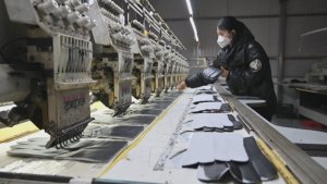 河北辛集冬季寄递高峰期手套日均寄递量超40万件-物流之家