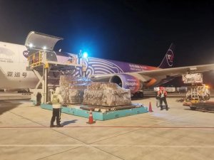 杭州机场开通杭州-迪拜全货机航线 圆通航空执飞-物流之家