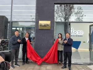 菜鸟云客服中心在四川苍溪县正式揭牌运营-物流之家