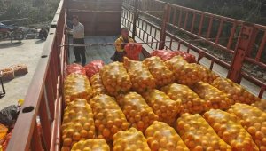 韵达重庆酉阳网点助力果农直销100余万斤脐橙-物流之家