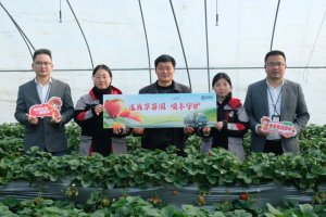 首届长丰草莓文化节开幕 安徽顺丰与皖辉农业签约-物流之家