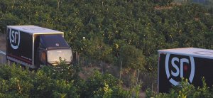 “快递助农”溯源直播周·顺丰专场售出超5万斤赣南脐橙-物流之家