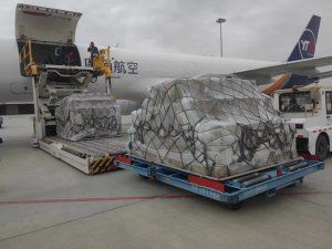 圆通航空执飞兰州-塔什干国际货运航线-物流之家