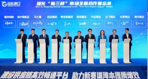 山东港口与马士基等7家船公司签署合作备忘录-物流之家