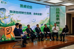 顺丰今年首次采用丰翼无人机进行茶叶运输-物流之家