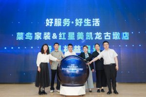 菜鸟发布家装成品家具类目解决方案-物流之家