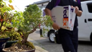 联邦快递与跨境技术公司Zonos达成合作-物流之家