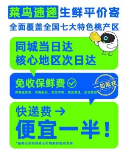 菜鸟和顺丰越来越像-物流之家