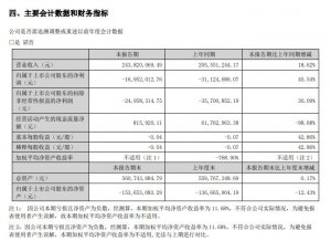 新宁物流于上半年的收入较上年同期增长 18.6%,归属于母公司所有者的净利润较上年同期减亏 45.5%-物流之家