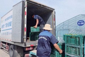 关于全国供销系统公共型农产品冷链物流建设的观察-物流之家