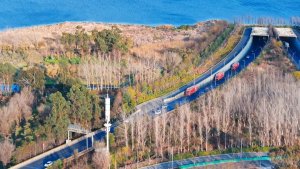 京东快递：在七夕来临前一周，斗南鲜花包裹的寄递数量翻倍增长-物流之家