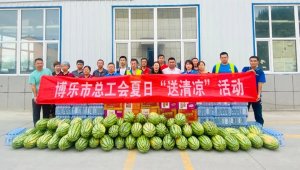 新疆邮政管理系统开展“夏日送清凉”活动-物流之家