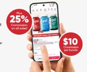 给予每人一套价值百万的豪宅作为奖励,亚马逊的大卖家为冲刺业绩全力以赴-物流之家