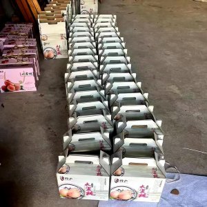 申通快递构建“水蜜桃专线”，达成江浙沪次晨达之服务成效-物流之家