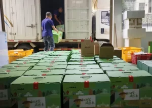 顺丰在湖南官渡镇首开运营站 可实现“同城半日达”-物流之家