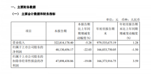 嘉诚国际斥资4000万元设立三家海外子公司-物流之家