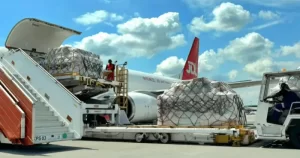 京东物流东南亚海外仓双12订单增长超100%-物流之家