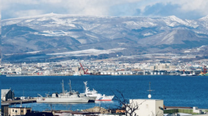 浅谈中国物流企业出海的破局之策-物流之家