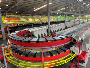 菜鸟承建的越南南部最大快递自动化分拨中心上线-物流之家