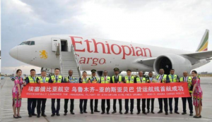 新疆首条非洲货运航线开通-物流之家