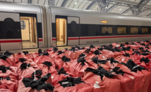 京东快递推出跨城急送与极速派送服务-物流之家