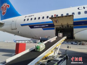 全国首单跨境电商B2B直接出口活体宠物在沈阳通关-物流之家