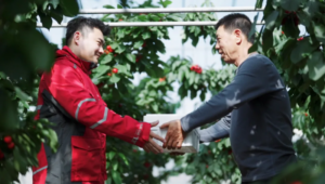 京东快递联合东航物流启动西北樱桃专项空运保障项目-物流之家