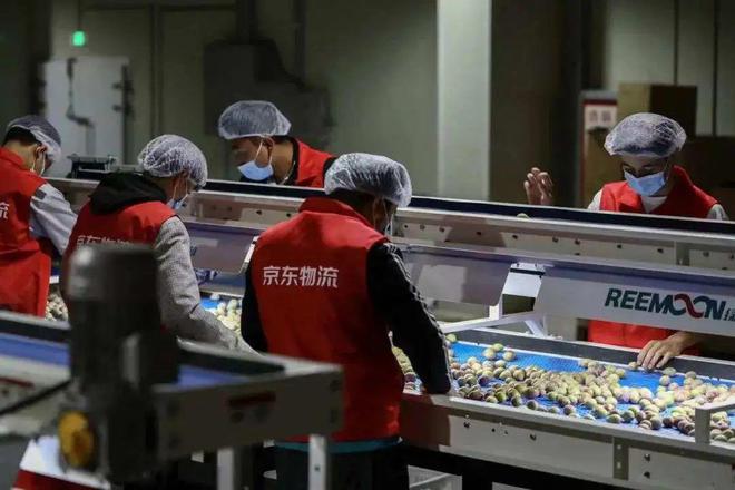 1666336141405824.jpg 3.jpg